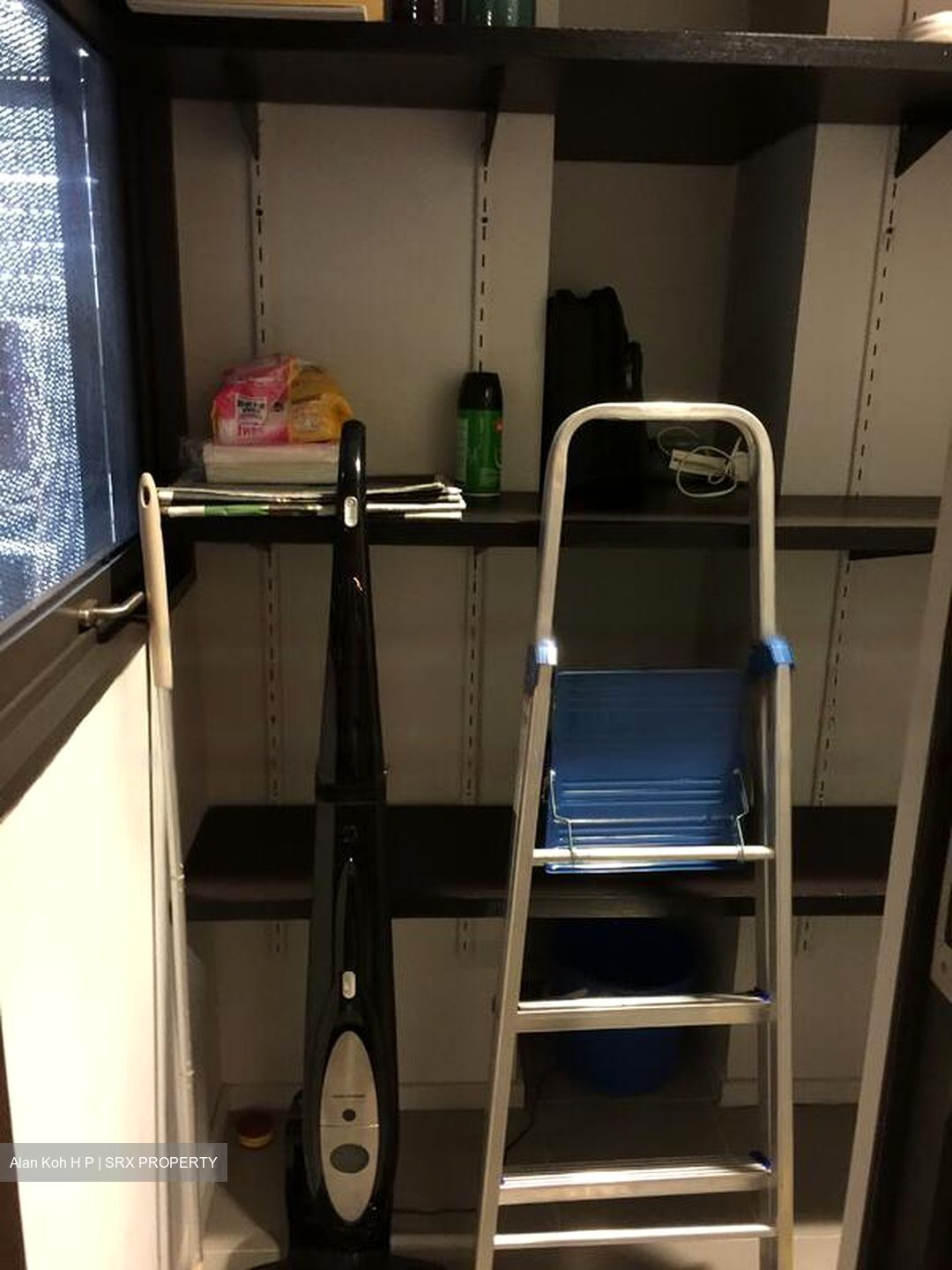 Newton Suites (D11), Apartment #526842811
